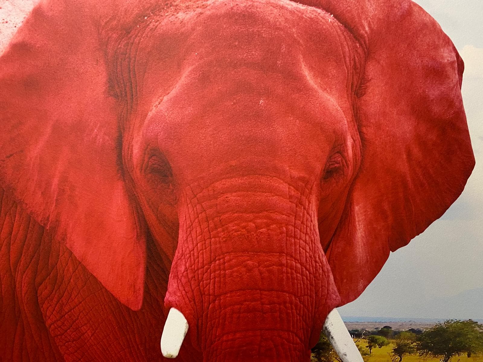 Illustration des neurosciences et du cerveau dans le contexte de l'hypnocoaching